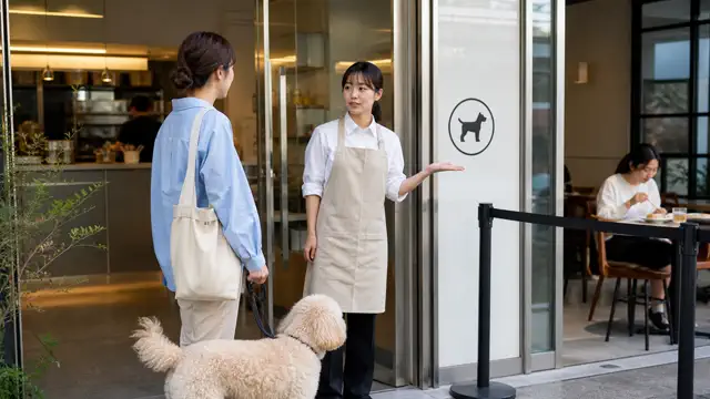 음식점 반려동물 동반 입장 분쟁 대응: 출입 기준·안내·위생 대표 이미지